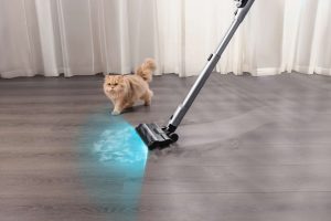 V50 Cube Tangle Free Cat
