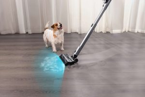V50 Cube Tangle Free Dog
