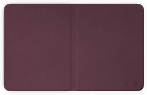Amazon presenta la nuova famiglia di prodotti Kindle 17 41fnipCwsL. AC SL1500