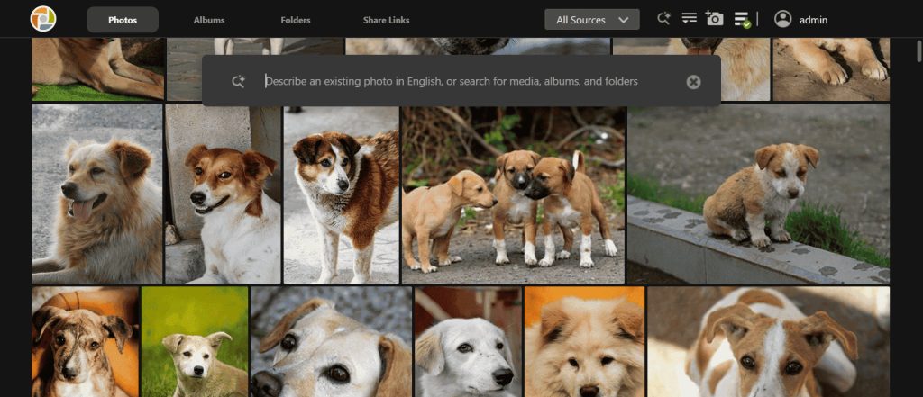 ASUSTOR Photo Gallery si arricchisce di nuove funzionalità basate sull’intelligenza artificiale 5 Photo Gallery AI II