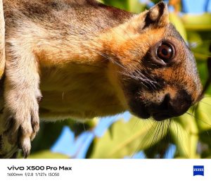 vivo X500 Pro Max Wild Life 1600mm