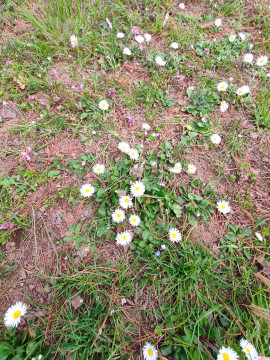 realme 8 Pro recensione by Smartphone Italia 163