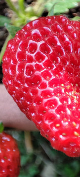 Recensione Xiaomi Mi 11 143