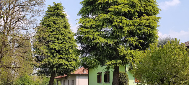 Recensione Xiaomi Mi 11 138