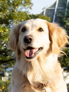 Sony lancia i nuovi Xperia 1 III e Xperia 5 III, 12