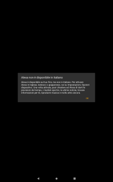 Recensione Amazon Fire HD 10 11 gen (2021) 53