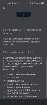 Recensione Jabra Elite 4 Active 41