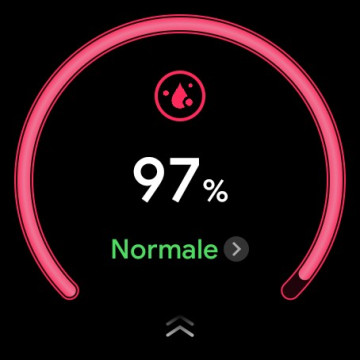 Recensione TicWatch Pro 3 Ultra GPS 138