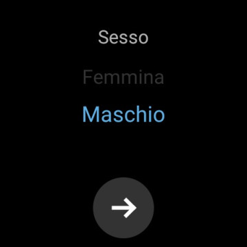 Recensione TicWatch Pro 3 Ultra GPS 157