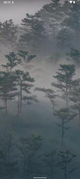 Recensione Nokia G60 64