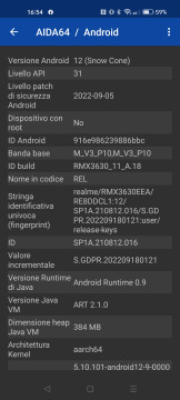 Recensione Realme 10 38